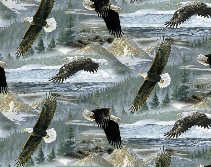 David Textiles Soaring Along the Shore Multi Premium Quality 100% Cotton Fabric (DA169)