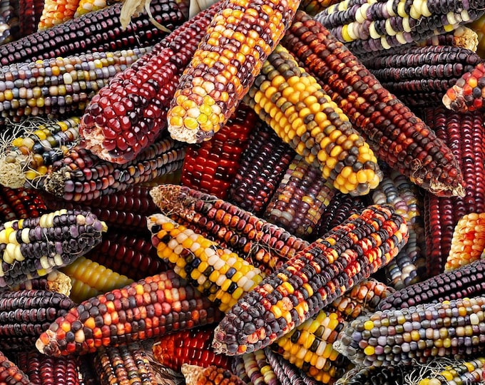 Elizabeth's Studio Food Festival Native Corn Multi Premium Quality 100% Cotton Fabric (ES481)