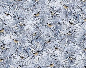 Timeless Treasures Winter Hike Chickadees On Winter Branches Premium Quality 100% Cotton Fabric (TT751KK)