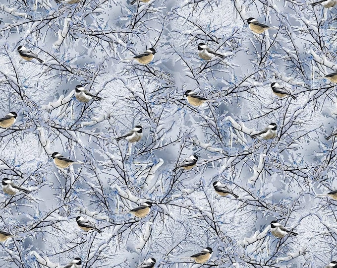 Timeless Treasures Winter Hike Chickadees On Winter Branches Premium Quality 100% Cotton Fabric (TT751KK)