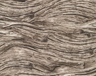 Quilting Treasures Open Air Drift Wood Driftwood Premium Quality 100% Cotton Fabric (QT723XX)