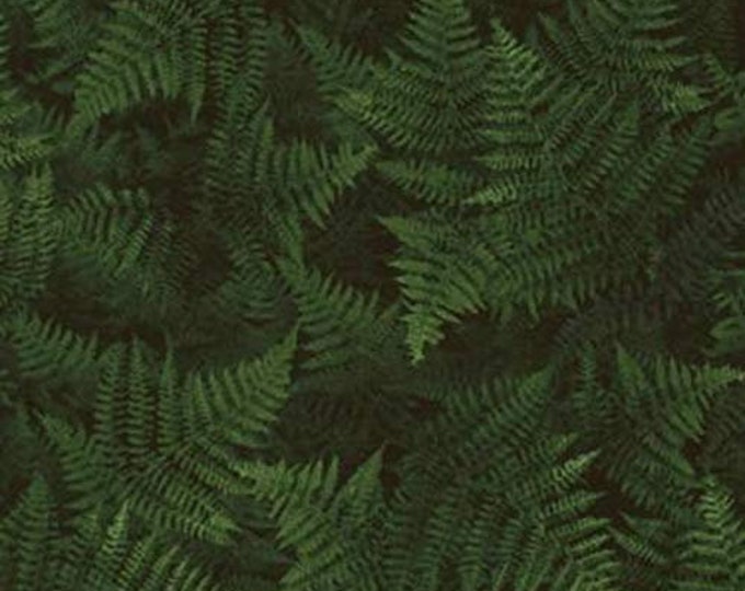 Timeless Treasures Black Forest Premium Quality 100% Cotton Sold by The Yard. (TT892)