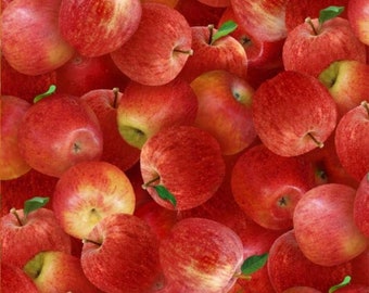 Elizabeth's Studio Food Festival Apples Premium Quality 100% Cotton Fabric (ES361)