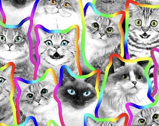 Timeless Treasures Black & White Cats Neon Outline Premium Quality 100% Cotton Fabric (TT7XX)
