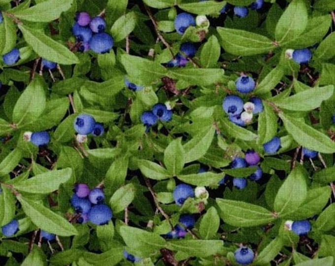 Elizabeth's Studio Berry Good Wild Green Blueberries Premium Quality 100% Cotton Fabric (ES436)