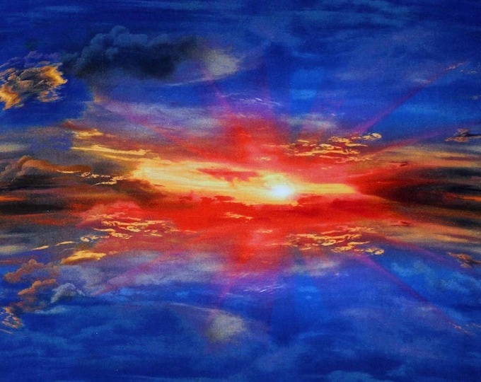 Timeless Treasures Sunset Sunrise Sky Clouds Landscape Sunset Poppies Premium Quality 100% Cotton Fabric (TT620CC)