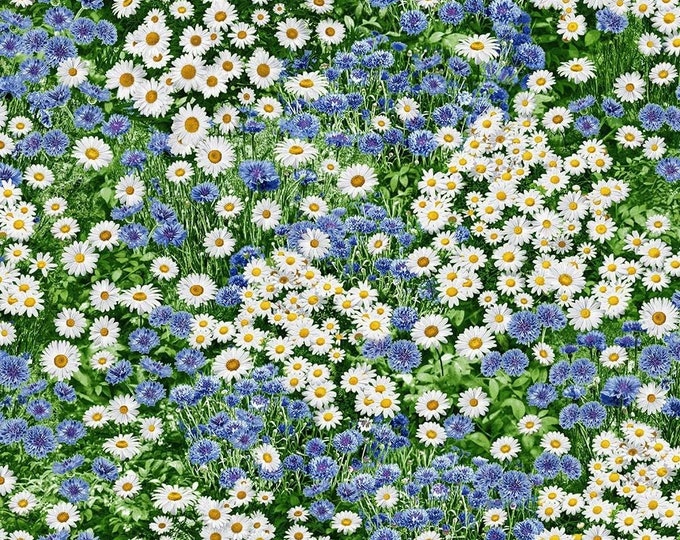Timeless Treasures Daisies and Cornflowers Premium Quality 100% Cotton Fabric (TT1144KK)