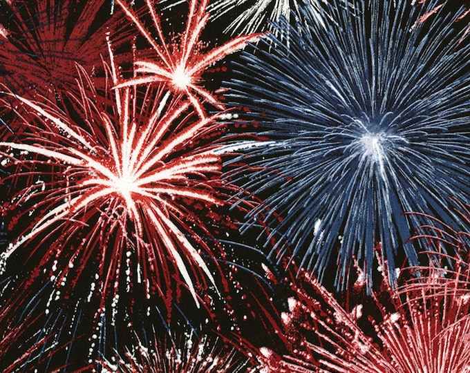 Timeless Treasures USA Fireworks Premium Quality 100% Cotton Sold by The Yard. (TT57)