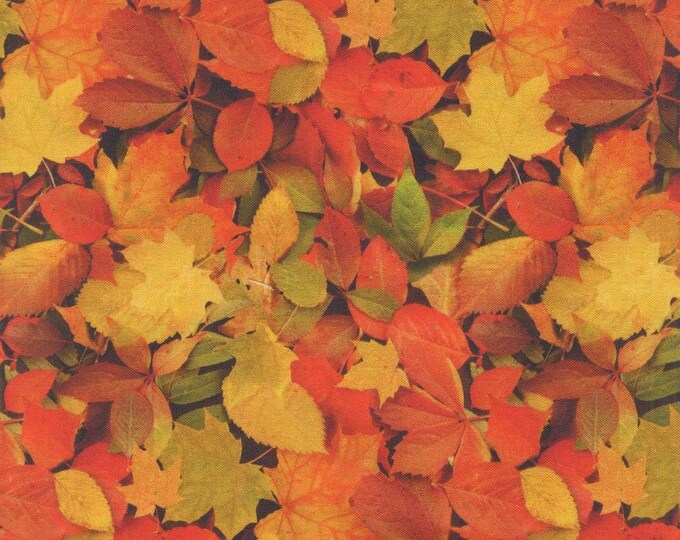 Windham Fabrics Landscapes 2020 Autumn Splendor Multi Premium Quality 100% Cotton Fabric (WF31)