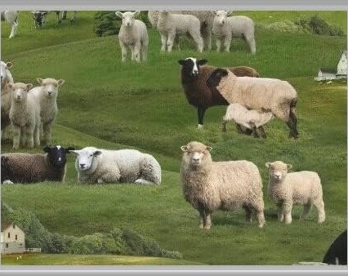 Elizabeth's Studio Farm Animal Fabric Sheep Green Pasture Field Premium Quality 100% Cotton Fabric (ES152)