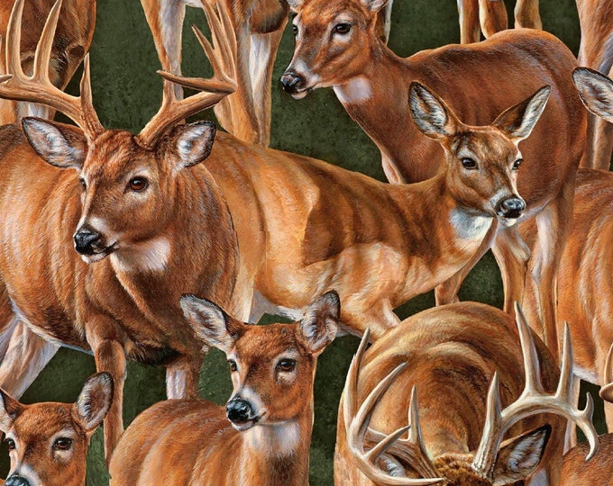Springs Creative Wild Wings Stoney Brook Packed Deer Multicolor Premium Quality 100% Cotton Fabric (SC11XX)