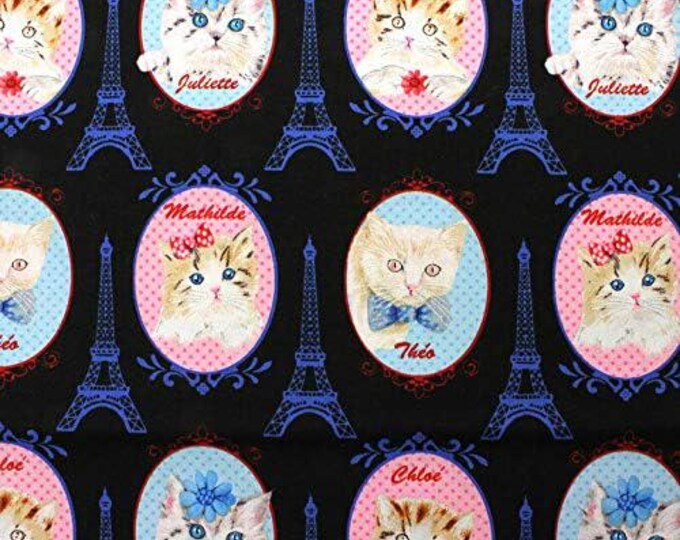 Timeless Treasures Cats in Frames C3189 Premium Quality 100% Cotton Fabric (TT29)