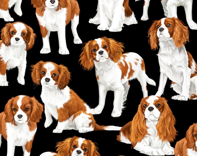 Timeless Treasures Dog Show Cavalier King Charles Spaniels Cute Black Premium Quality 100% Cotton Fabric by The Yard. (TT1003)