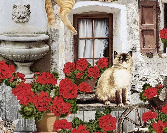 Timeless Treasures Porch Cats & Geraniums Multicolor Premium Quality 100% Cotton Fabric (TT6XX)