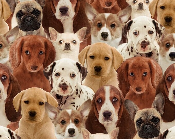 Windham Fabrics One of a Kind Packed Puppies Premium Quality 100% Cotton Fabric (M26XX)