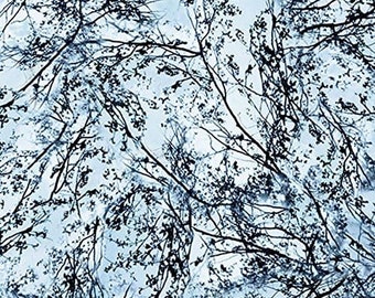 Timeless Treasures Cloud Nature Walk Premium Quality 100% Cotton Fabric (TT882)
