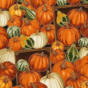Timeless Treasures Fabrics Harvest Holiday 2017 Pumpkin Pumpkins & Gourds  Premium Quality 100% Cotton Fabric (TT909)