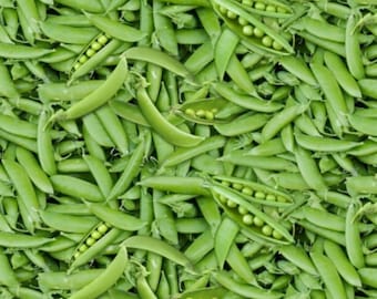 May include: A close-up image of a pile of fresh green pea pods. The pods are arranged in a random pattern, with some pods open to reveal the peas inside.