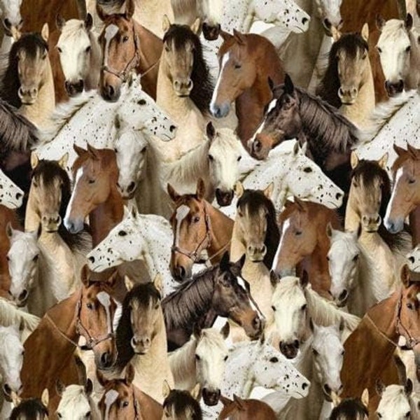 Windham Fabrics One of A Kind Horses Premium Quality 100% Cotton Fabric (M619)