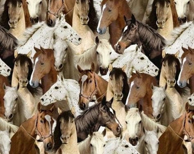 Windham Fabrics One of A Kind Horses Premium Quality 100% Cotton Fabric (M619)