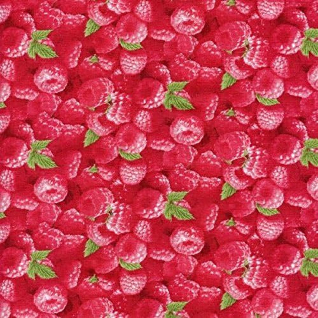 Elizabeth's Studio Raspberries Red Berry Good Premium Quality 100% ...