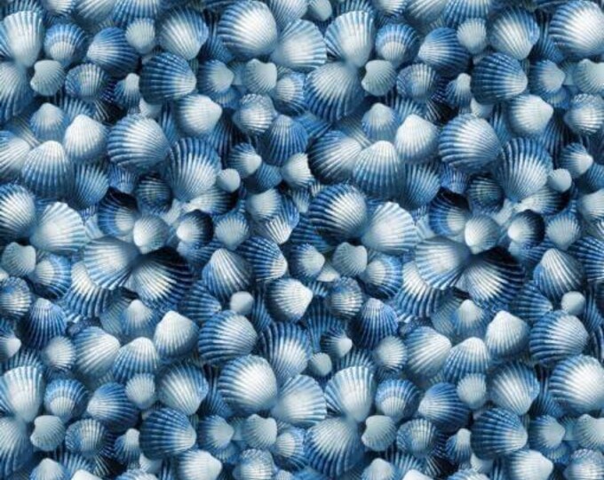 Timeless Treasures Nautical Fabric Take Me Away Packed Blue Seashell Size Premium Quality 100% Cotton Fabric (TT18CC)