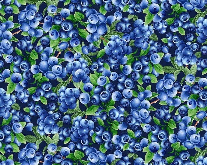 Timeless Treasures 45" Wide Blueberries (Navy Background Premium Quality 100% Cotton Fabric (QT559TT)