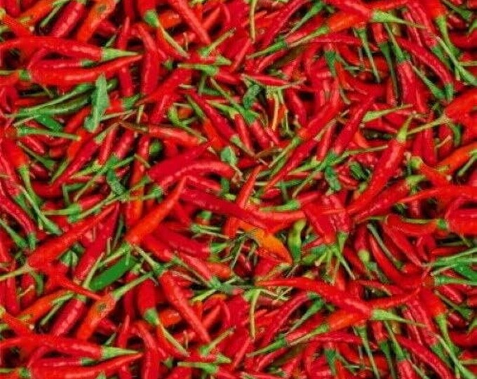 Flash Phoenix A La Carte by Studios Red Peppers Premium Quality 100% Cotton Fabric (WF2)