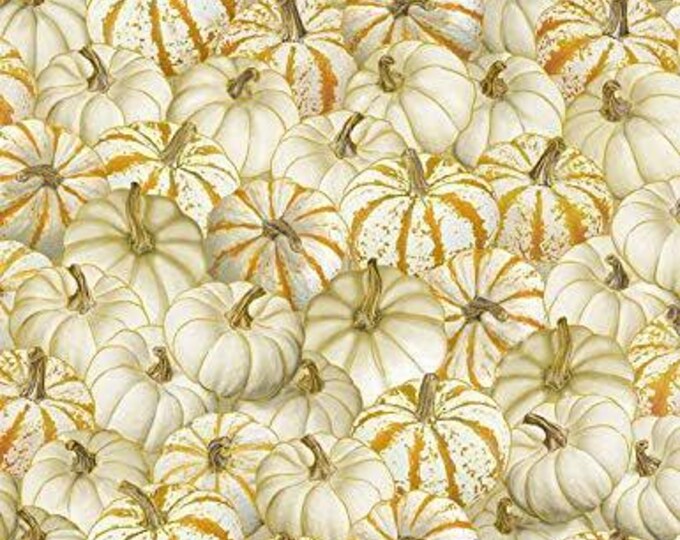 Timeless Treasures Harvest Pumpkin Premium Quality 100% Cotton Fabric (TT563)