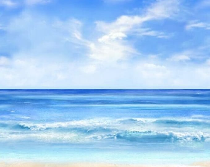 Timeless Treasures Beachcomber 24x43in Panel With Shells Premium Quality 100% Cotton Fabric by the Panel (QT1108TT)