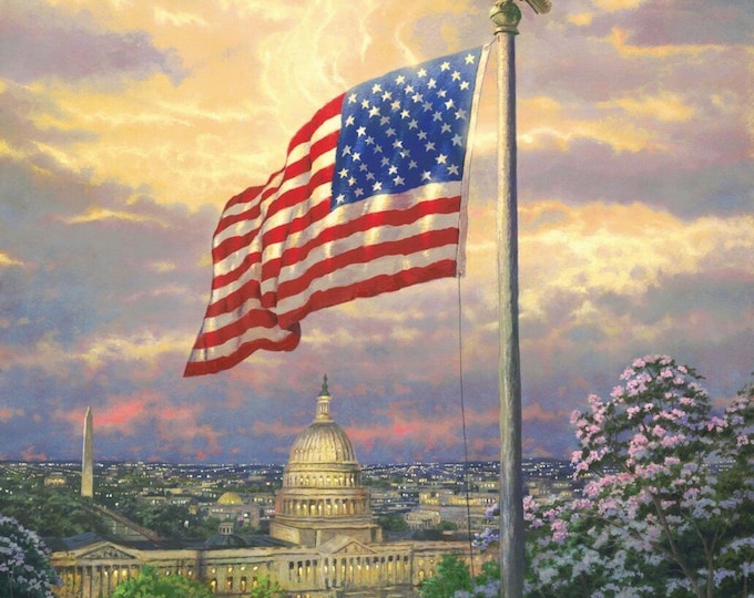 America's Pride TK 2043 CW1 Thomas Kinkade David Textile 100% Cotton Fabric By The Panel 35" x 42" (DA131)