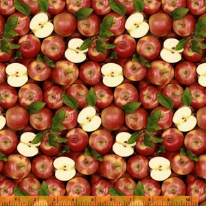 Windham Fabrics A La Carte Apple A Day Multi Premium Quality 100% Cotton Fabric (WF1)