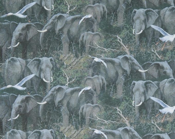 Springs Creative Products Wild Wings Safari Elephants Premium Quality 100% Cotton Fabric (SC115XX)