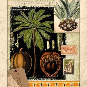 Exotic Memory  panel 35&quot;  Springs Creative 100% cotton 43&quot; wide fabric Sold by the Panel (SC210KK)