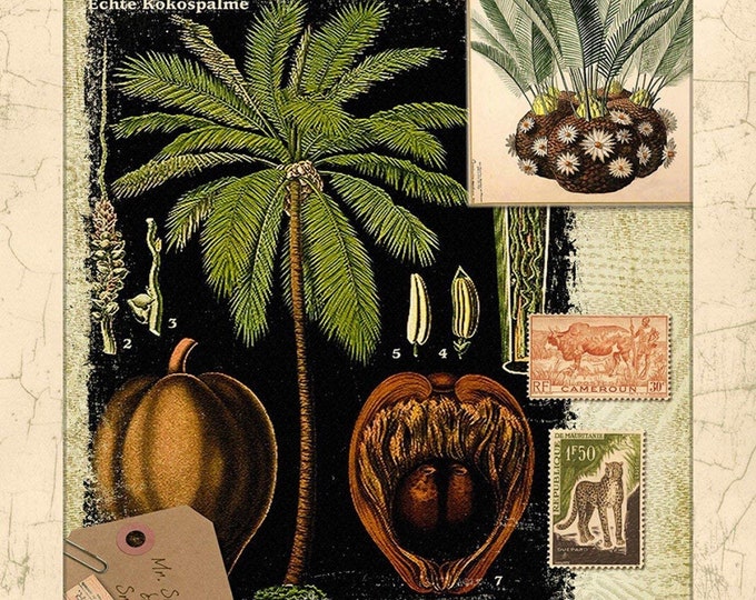 Exotic Memory  panel 35"  Springs Creative 100% cotton 43" wide fabric Sold by the Panel (SC210KK)