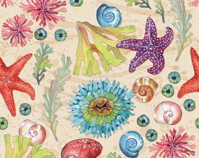 Four Seasons Tidepool Seashells Digital Sand David Textiles 100% cotton fabric by the yard  (DA187)