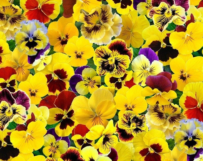 Elizabeth's Studio Pansies/Yellow Floral Digital Fabric Premium Quality 100% Cotton Fabric (ES342)