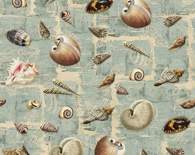 Springs Creative Shell Collection Premium Quality 100% Cotton Fabric (SC1460KK)