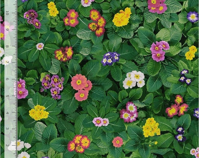 Timeless Treasures Flowers Floral Botanical Blooms Blossoms Garden Premium Quality 100% Cotton Fabric (M97SC)