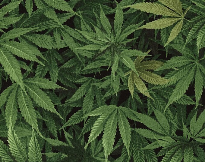 Timeless Treasures Nature Cannabis Plant Green Premium Quality 100% Cotton Fabric (TT27XX)