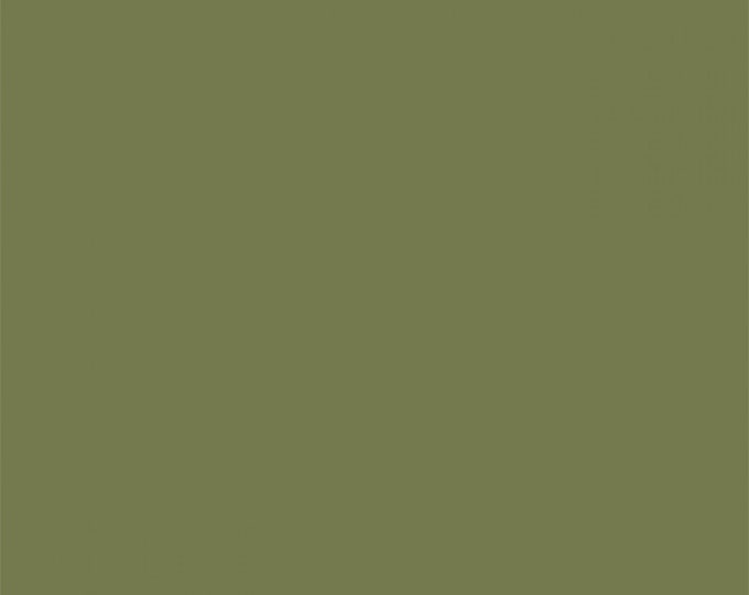 Springs Creative Natural Charm Solid Color Iguana Green Premium Quality 100% Cotton Fabric by The Yard. (SC1110AA)