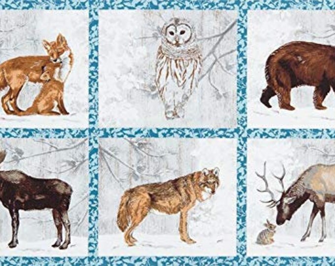 Robert Kaufman Winter White 2 First Panel Premium Quality 100% Cotton Fabric Sold by The Panel (RK49)