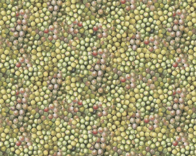 Springs Creative Sonoma Country Green Grapes Premium Quality 100% Cotton Fabric (SC187)