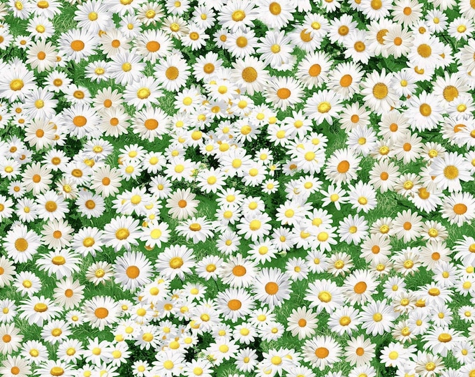 Timeless Treasures White & Yellow Daisies Premium Quality 100% Cotton Fabric (TT1083)