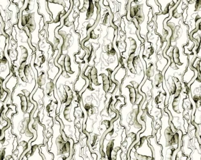 Quilting Treasures Sewing Seeds Bean Stalk Stripe White Premium Quality 100% Cotton Fabric (QT648)