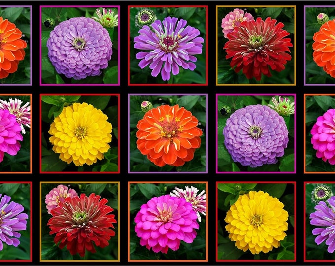 Elizabeth's Studio Zinnia 24x43in Panel Black Premium Quality 100% Cotton fabric by the Panel (ES344)