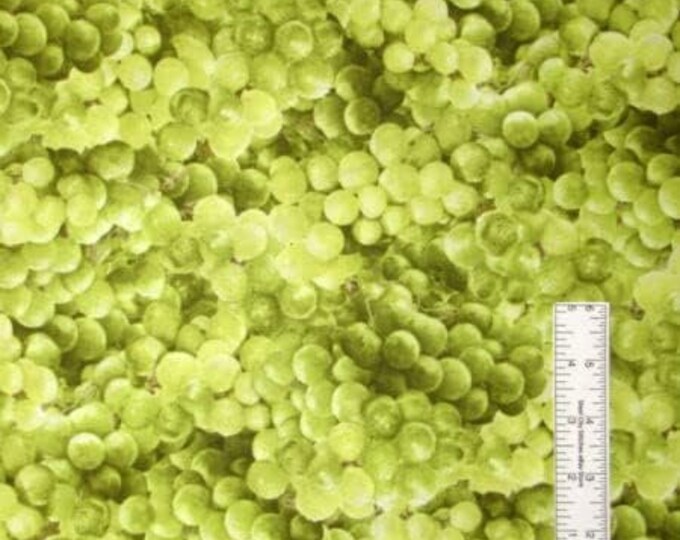 Fabri-Quilt Farmers Market Green Grapes Fruit Food Premium Quality 100% Cotton Fabric (FQ162)