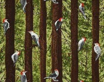 Timeless Treasures Woodpecker Stripe Premium Quality 100% Cotton Fabric (TT598)