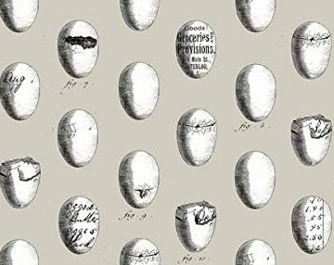 Quilting Treasures Fowl Play Gray Whimsical Eggs 1649-26468K Premium Quality 100% Cotton Fabric (QT725)