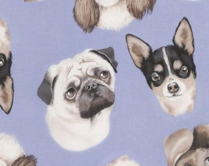Timeless Treasures Cute Puppy Face Dogs Blue Premium Quality 100% Cotton Fabric (TT653)